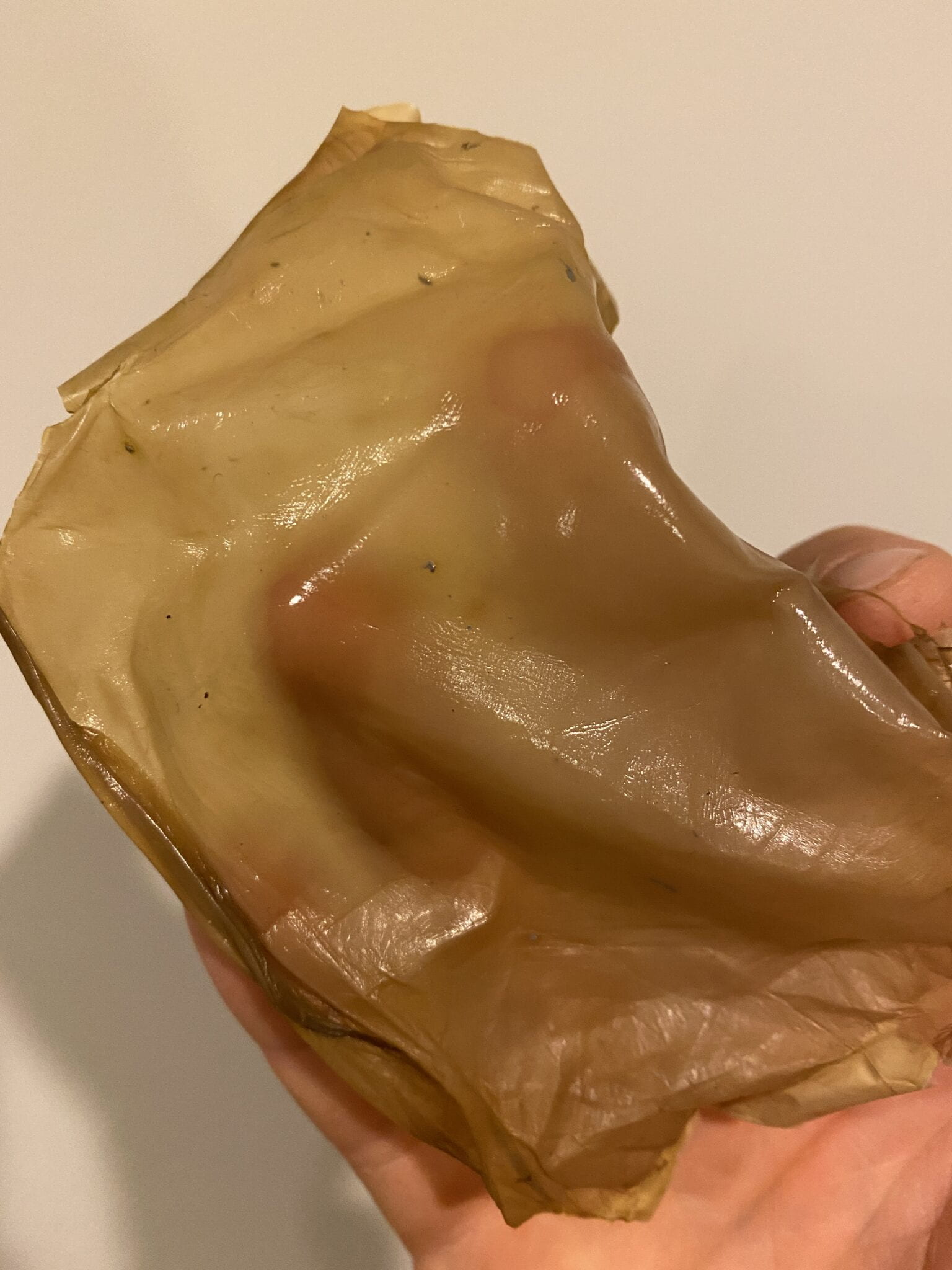 scoby