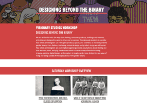 Screen shot of web page for Designing Beyond Binary class