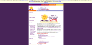 Screenshot of the "Get Out the Vote with PFLAG!" page on PFLAG's archived website. Captured on November 10, 2009.