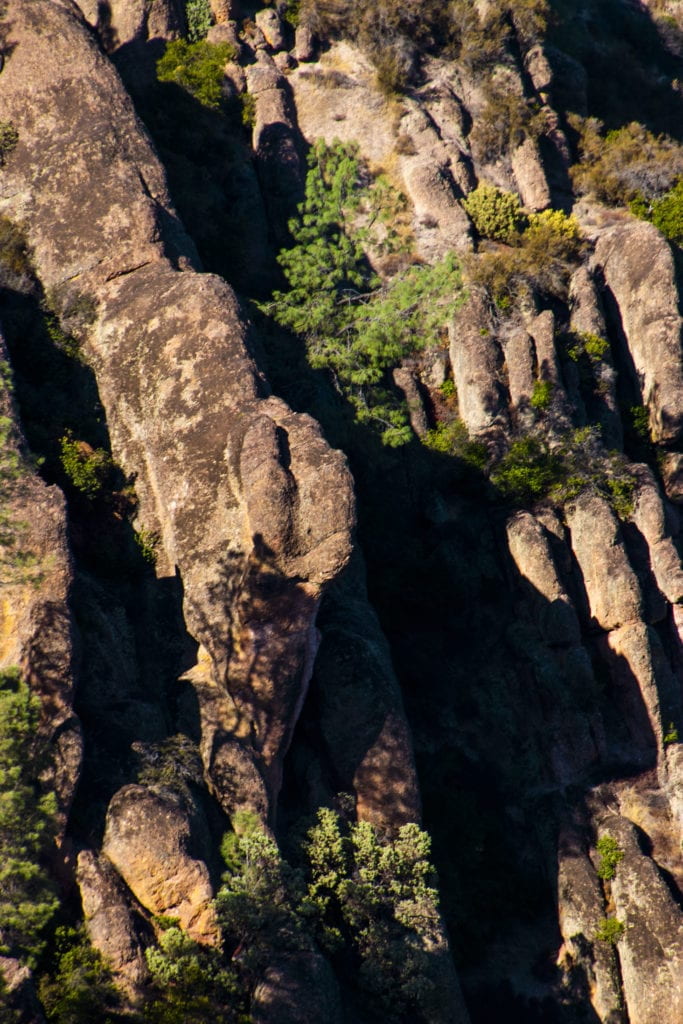Photograph of rock formations interspersed with trees and greenery