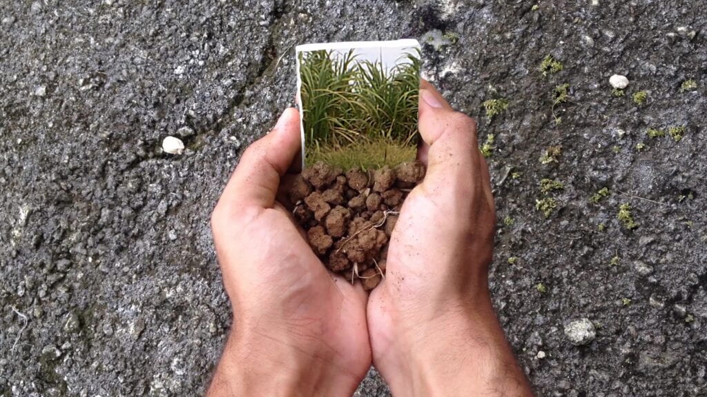 Two hands cupped above a rocky surface holding large bits of dirt and an image of palm trees in the wind.