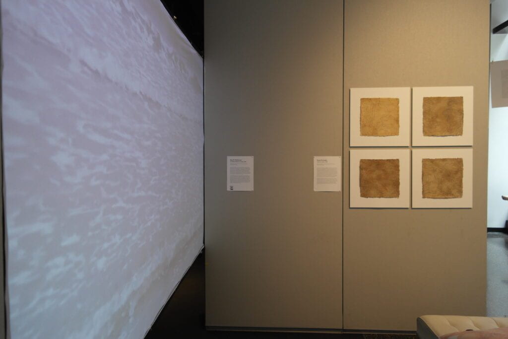 Gallery view of work by Tessa Grundon (Contours series) and Ada M. Patterson (The Whole World is Turning). 