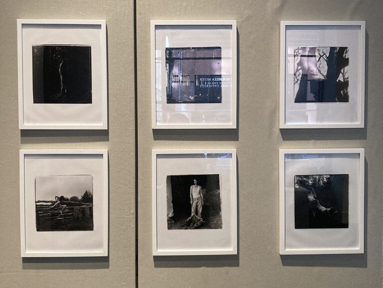 Six black and white framed photographs of a woman in nature, hung on a white wall.  