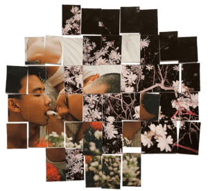 Collection of collaged photographs printed and pinned to the wall in a circular cluster. The photographs feature two faces on the left side who are in an intimate exchange surrounded by photographs of cherry blossoms in the evening. 