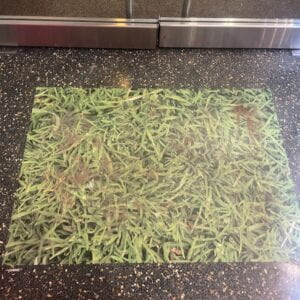 Printed vinyl square of green grass. 