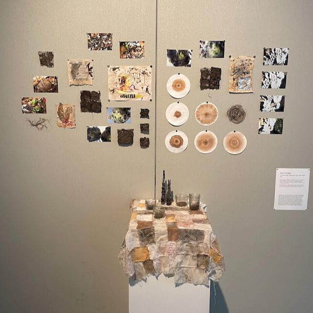 A white pedestal covered by a patterned quilt, with jars of soils displayed on top of it. Various photos and visual samples of soils displayed above the jars.