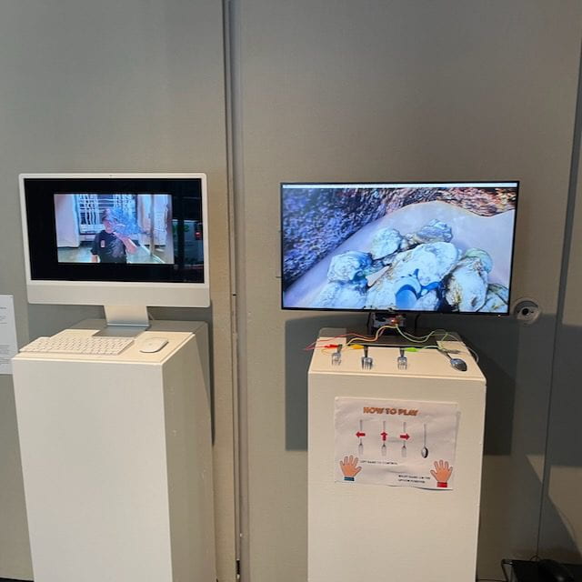 Two computer monitors placed on pedestals next to each other; the screen on the left shows the artist as captured by the computer's camera; her right hand, lifted, is surrounded by graphics of a school of fish; the screen on the right shows a view of rocks under water; in front of the screen are three metal forks and one metal spoon connected to the computer with wires; a printed instruction on the pedestal shows how to play the game using the spoon and forks as control.