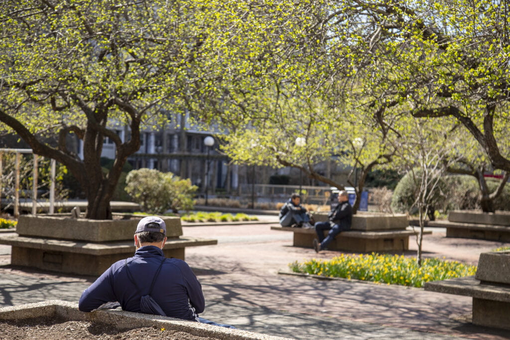 Image of people sitting at a park