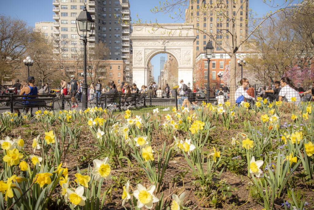 Arch and flowers in WSP