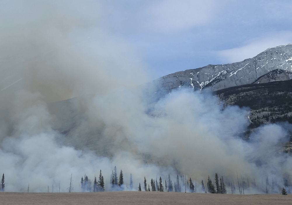 Wildfire smoke from afar