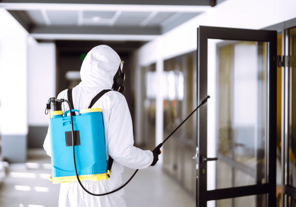 Person in protective suits performing sanitization tasks