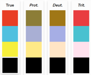 Final Proposed Design Palette Tested