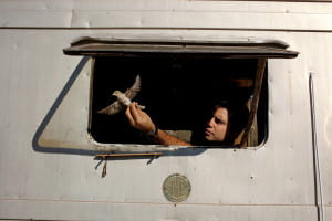 Person holding bird out of window 