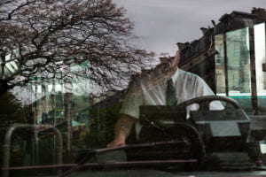 Driver in bus window overlaid by reflection of trees and surrounding buildings