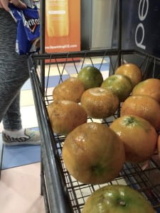 Oranges in various states of color