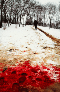 person walking away from blood stained snow and dirt