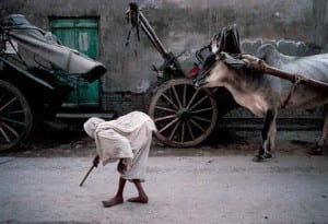 A person stands in front of ox and carriages