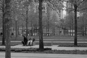 two people sitting in park with trees in front of them