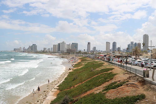 View of beach with skyscrapers in the distance