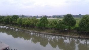 a river with trees in background