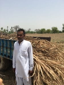 man standing in front of crops