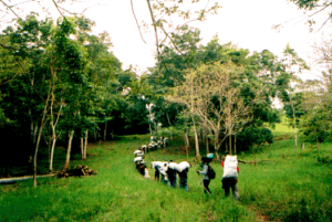 people marching through gress