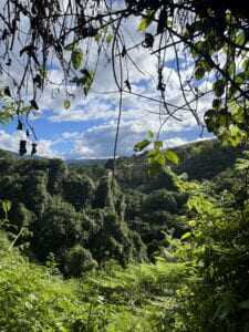 View from the Arqueological Park