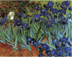 painting of irises