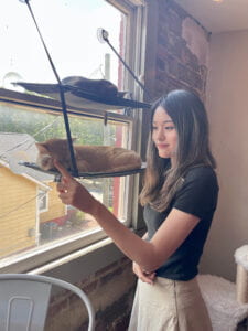 An east asian woman with black and brown hair in black t-shirt and beige skirt. She is touching a sleeping orange cat's paw.