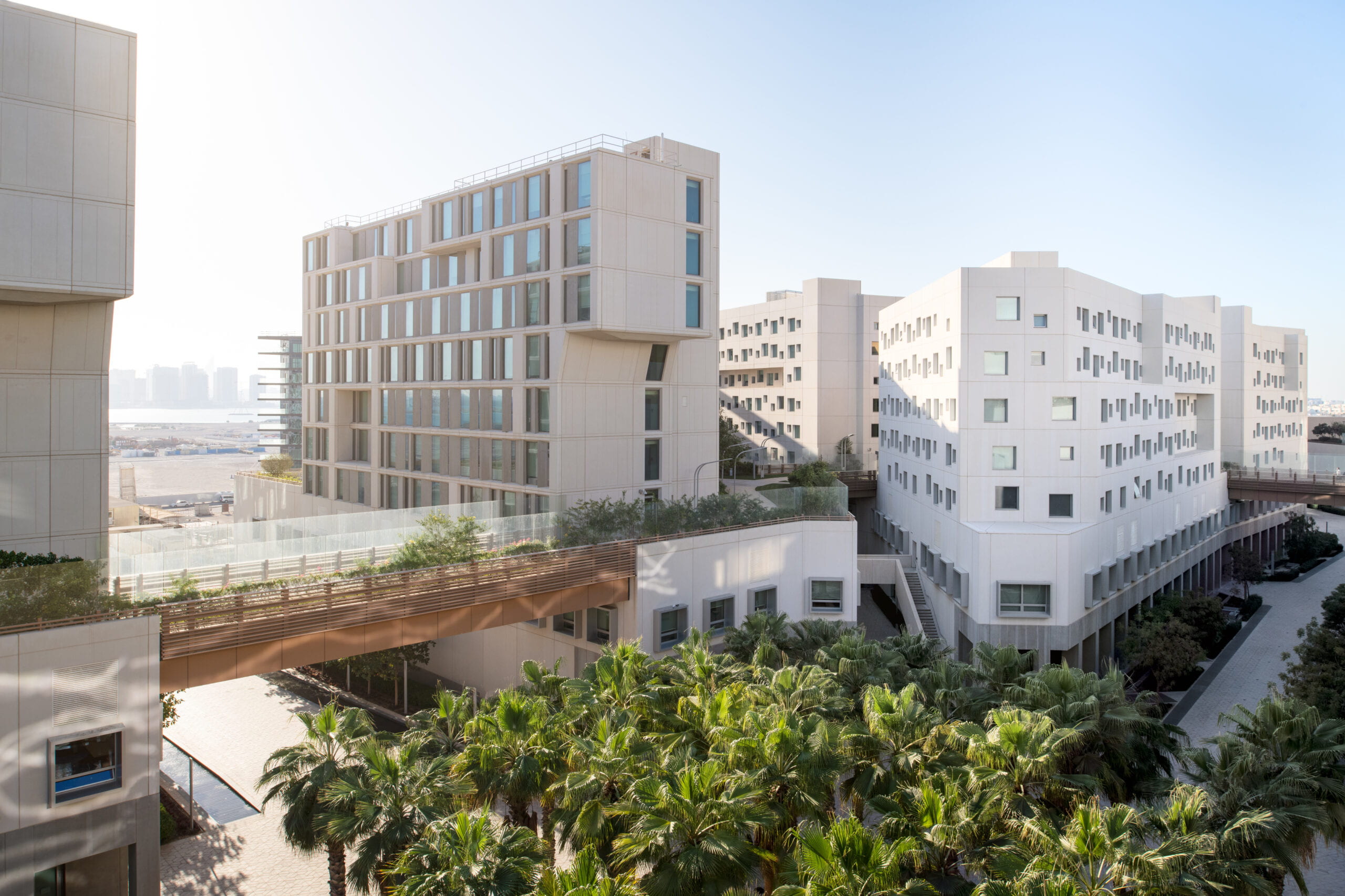 NYUAD Campus 2