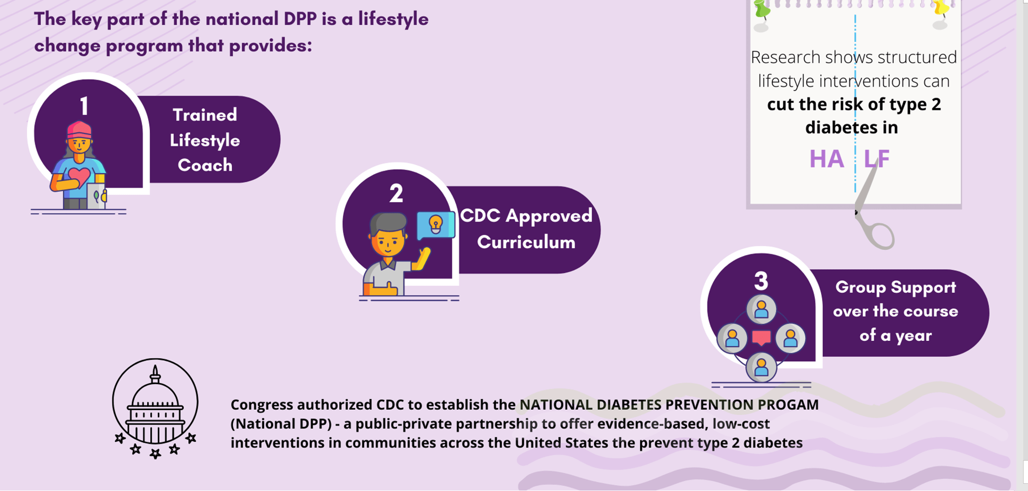 National DPP Diagram