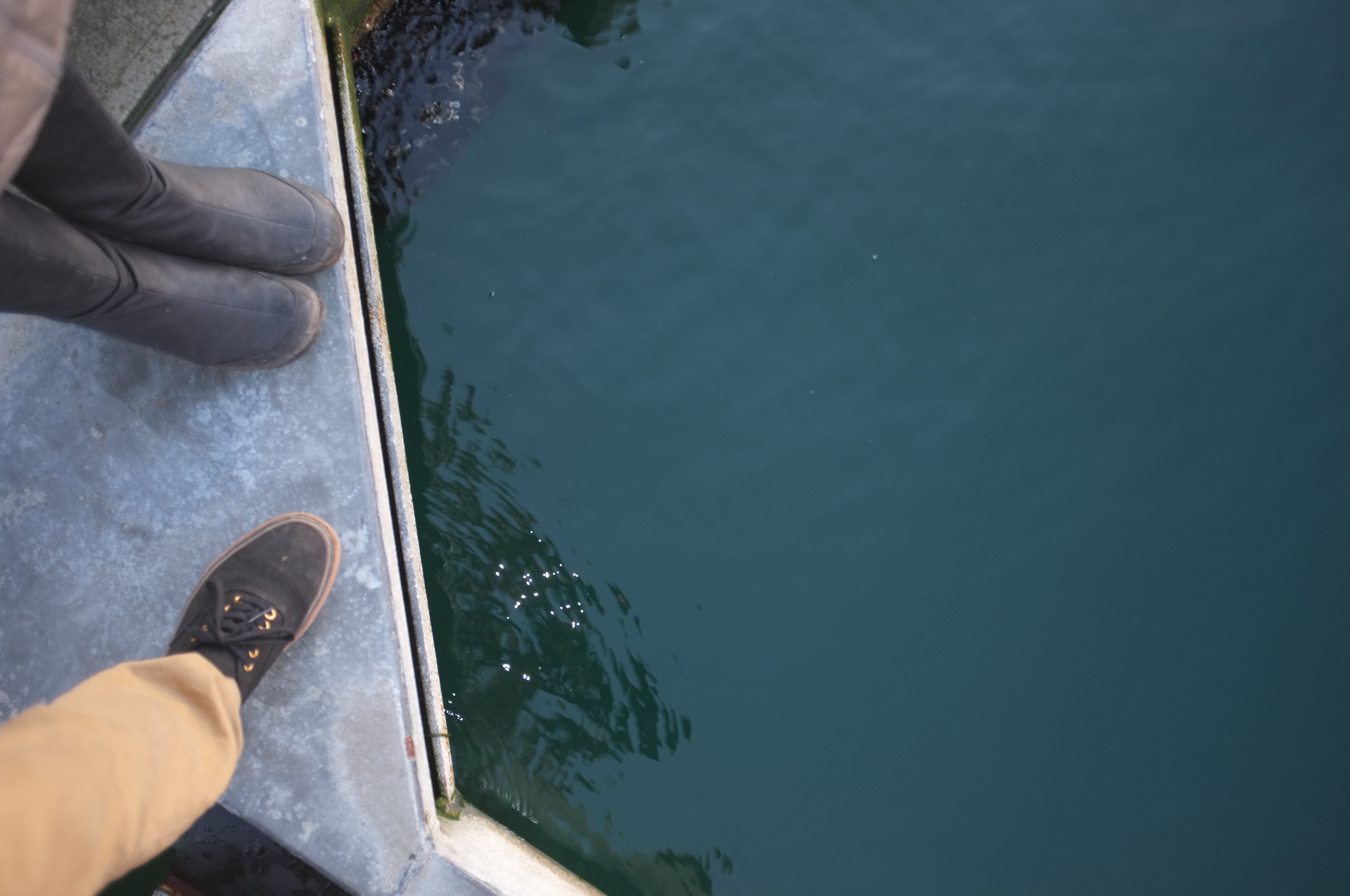 Selfie#16: Water all around me (1/24/14)