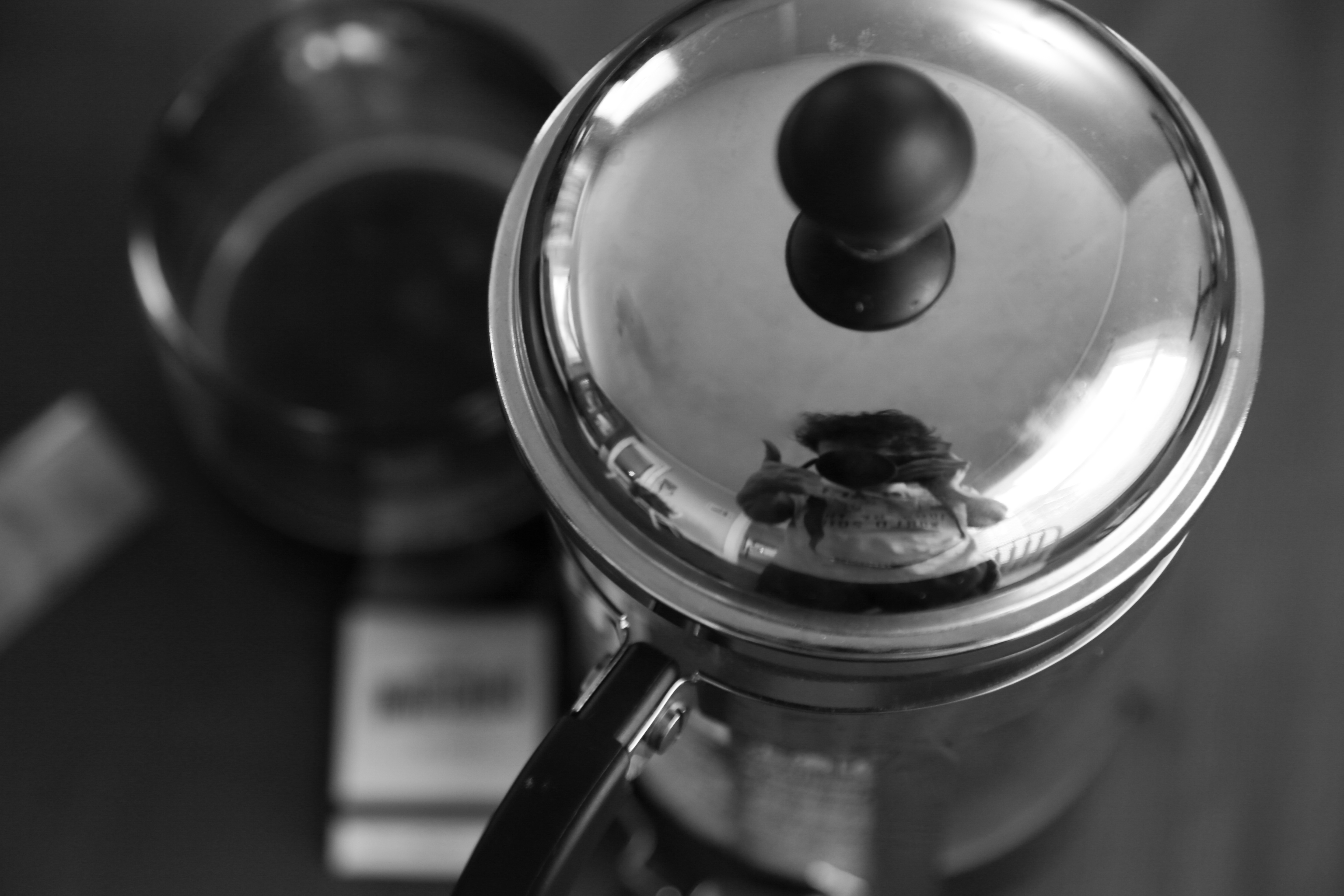 Nicasio selfie #29, Feb 8: French Press