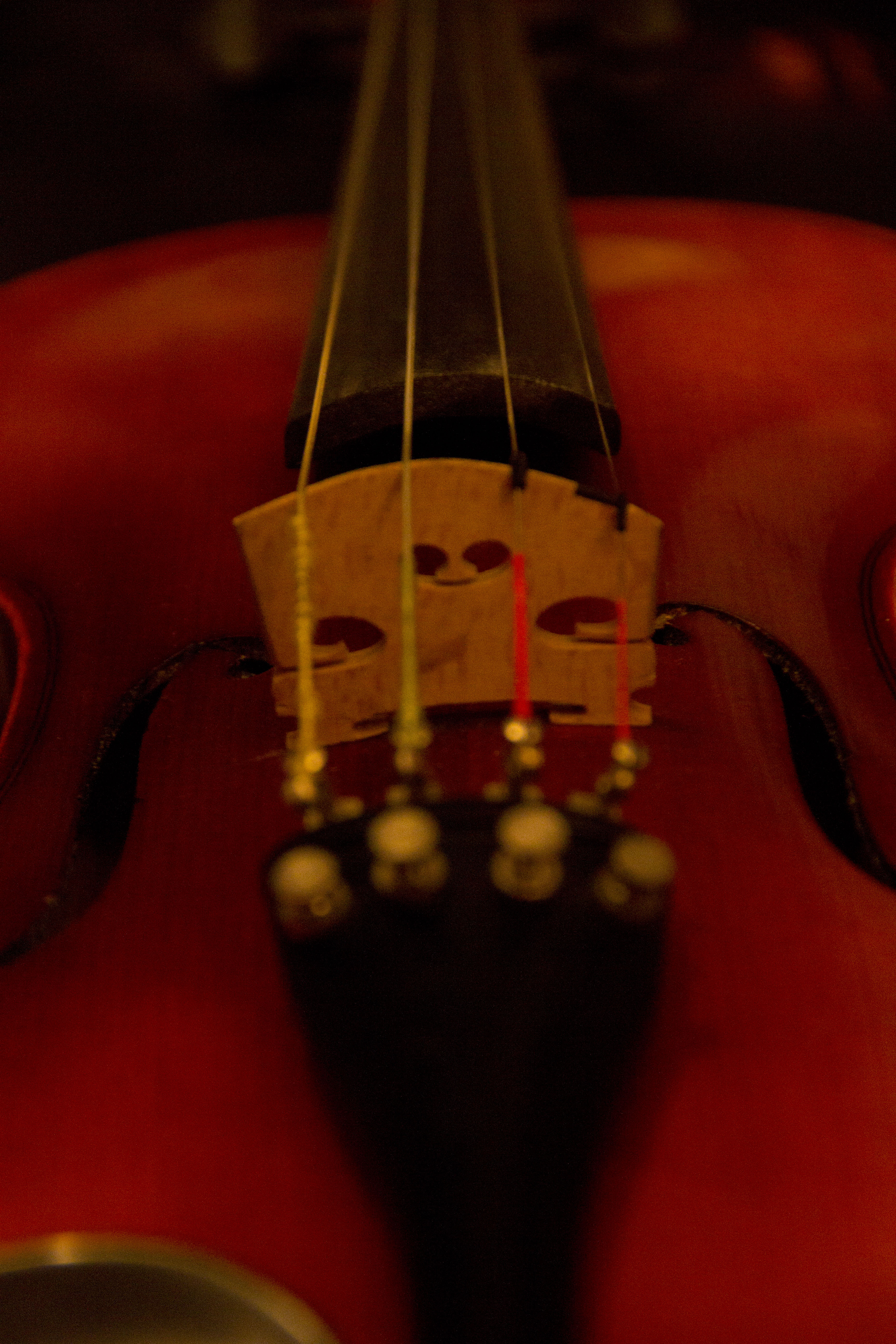 Selfie #15: Violin (January 23)